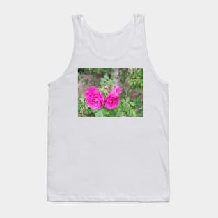 A trio of roses Tank Top